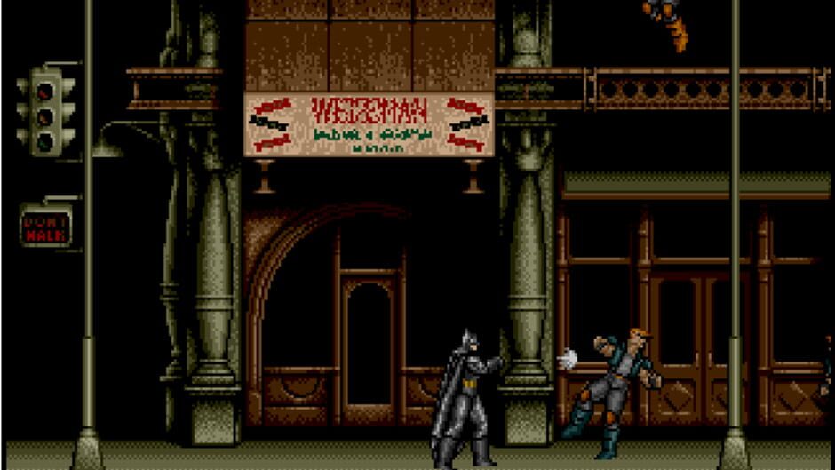 Batman: The Video Game